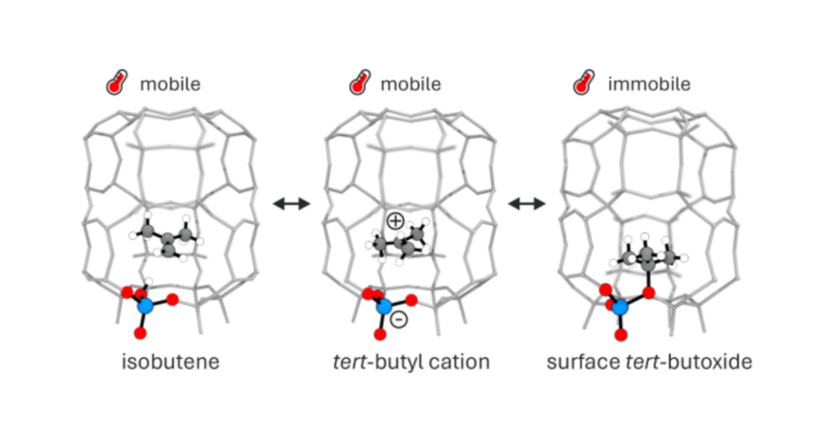 Accurate Reaction Free Energies in Zeolite Catalysis with MeluXina